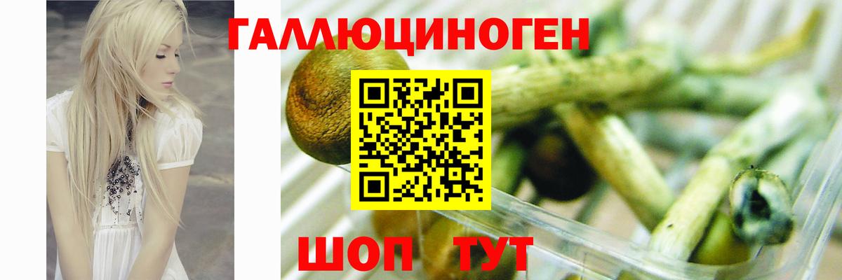 Галлюциногенные грибы мицелий  Вход с VPN  Псилоцибиновые грибы MAGIC MUSHROOMS  Алапаевск 